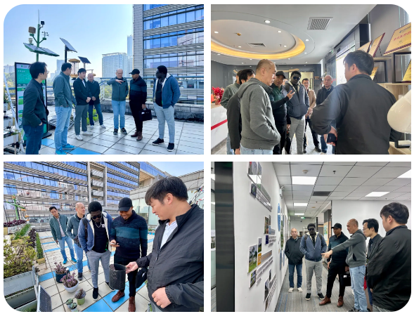 1738831072014.jpg 1738831072014.jpg